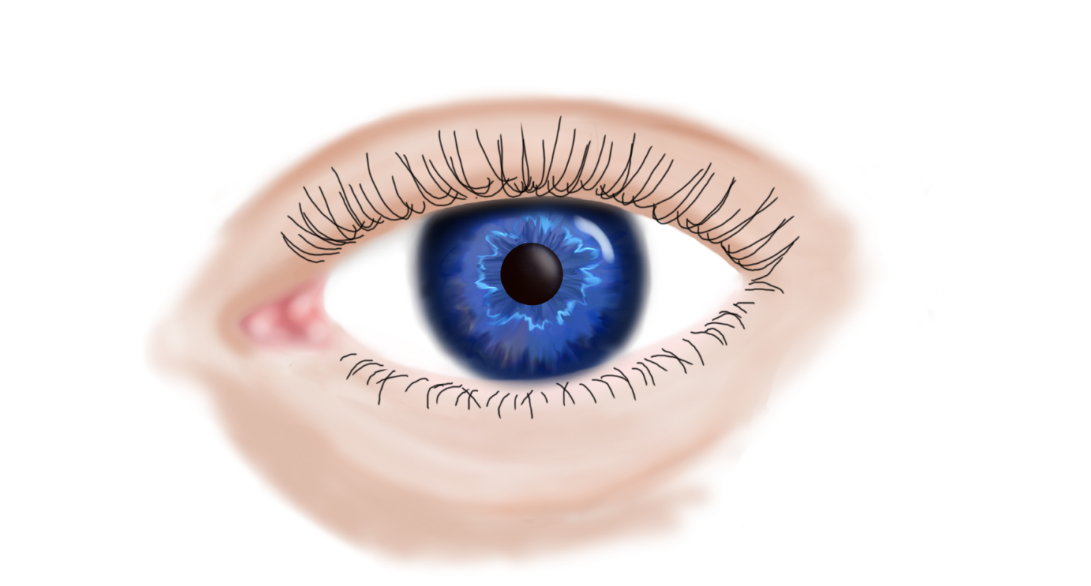 detailbeeld oogsketchbook