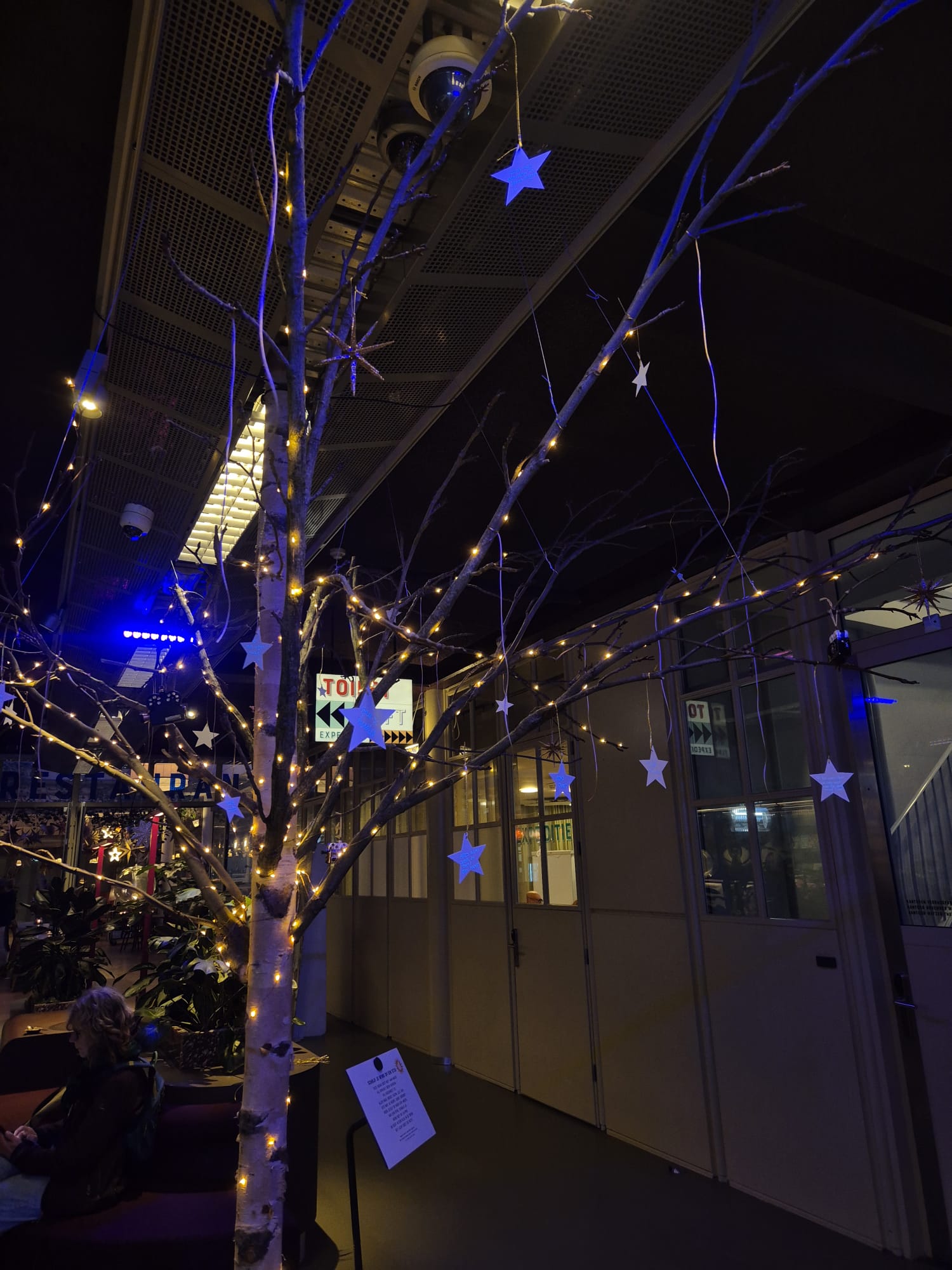 detailbeeld wensboom