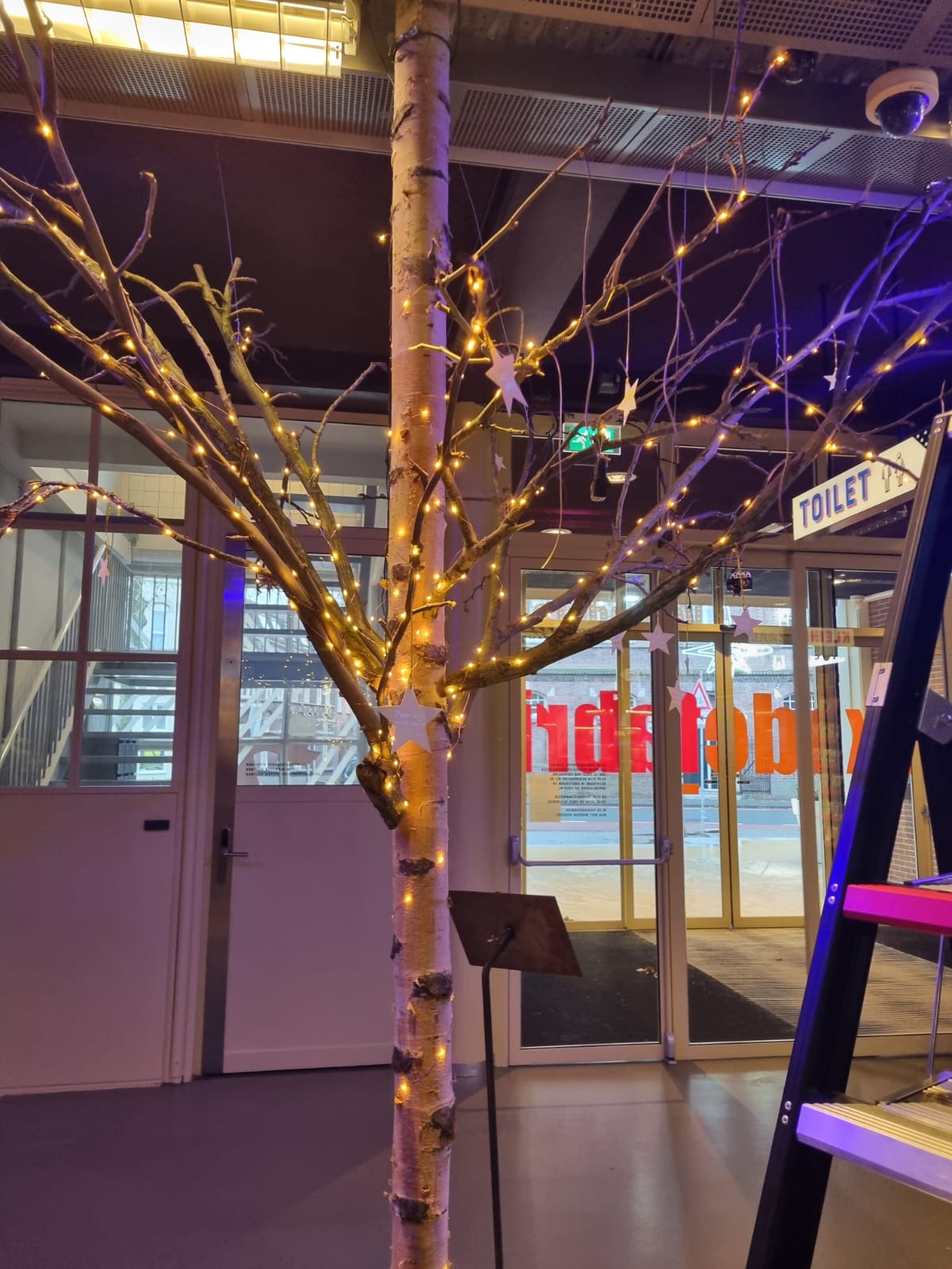 detailbeeld wensboom